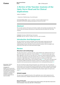 A Review of the Vascular Anatomy of the Optic Nerve Head