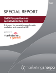 special report - MarketingSherpa