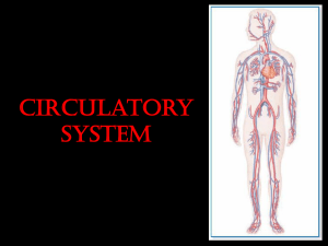 Circulatory System