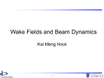 Wake Fields and Beam Dynamics
