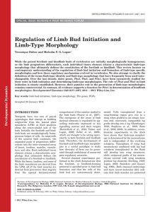 Regulation of limb bud initiation and limbtype