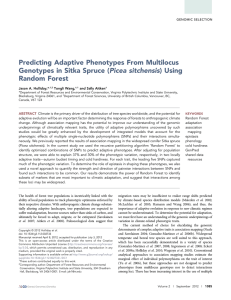 Predicting Adaptive Phenotypes From Multilocus Genotypes in Sitka