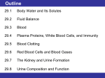 29.6 Red Blood Cells and Blood Gases