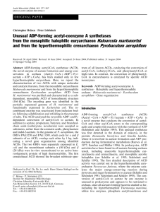 Unusual ADP-forming acetyl-coenzyme A synthetases from the