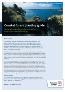 Coastal Forest - Auckland Council