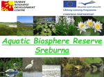 Biosphere reserve Sreburna