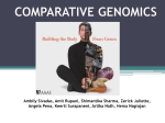 ComparativeGenomicsPresentationI
