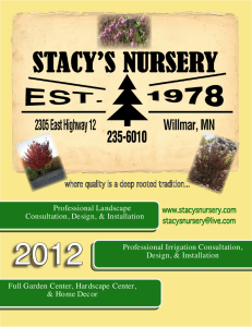 Stacy`s Nursery