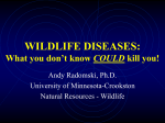 WILDLIFE DISEASES: What you don`t know COULD kill you!