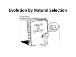 Evolution by Natural Selection