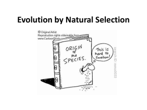 Evolution by Natural Selection