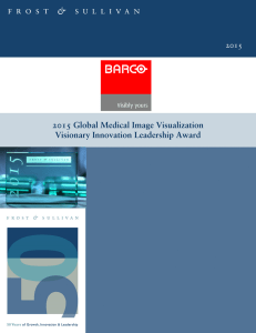 2015 Global Medical Image Visualization Visionary