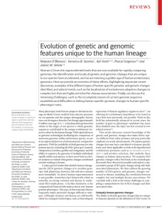 Evolution of genetic and genomic features unique to the human