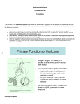 Primary Function of the Lung