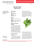 Spinach (Home Gardening Series) - FSA-6077