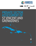 St. Vincent and the Grenadines Private Sector Assessment Report
