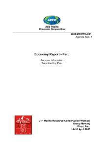 PERU SUMMARY REPORT 2007