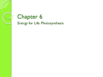 Chapter 6 - Advanced Biology