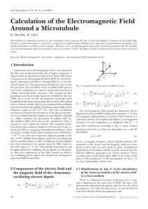 Calculation of the Electromagnetic Field Around a Microtubule