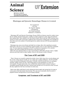 Bluetongue and Epizootic Hemorrhagic Disease in Livestock