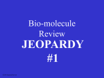Biomolecules Jeopardy #1