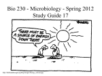 Bio 230 - Microbiology