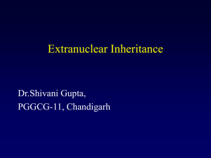 extranuclear inheritance