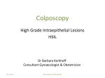 colposcopy - Bon Secours Hospitals