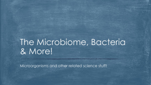 microbiome-ppt