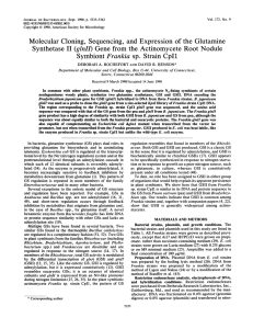 Molecular Cloning, Sequencing, and Expression of the Glutamine