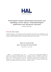 Nicotinamide adenine dinucleotide homeostasis and