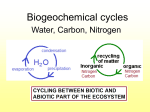 Biogeochemical cycles