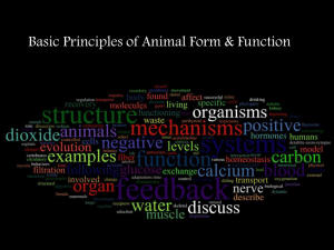 Ch. 40 Lecture Chapter 40_Homeostasis