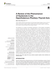 A Review of the Phenomenon of Hysteresis in the Hypothalamus