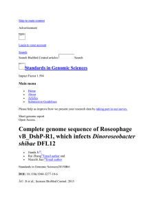 Complete genome sequence of Roseophage vB_DshP