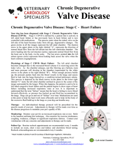 CDVD Handout Stage C - Veterinary Cardiology Specialists
