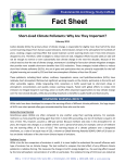 Fact Sheet: Short-Lived Climate Pollutants: Why Are They Important?