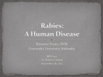 Rabies - Concordia University, Nebraska