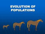 population genetics