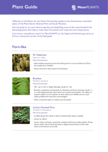 Plant Guide - Moors for the Future