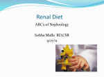 Renal Diet - ANNA Jersey North Chapter 126