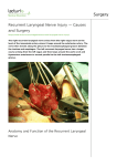 Recurrent Laryngeal Nerve Injury — Causes and Surgery