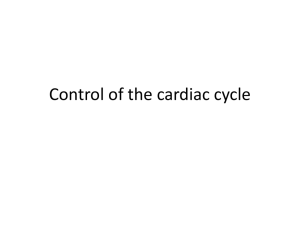 Control of the cardiac cycle