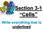 3-1 cell