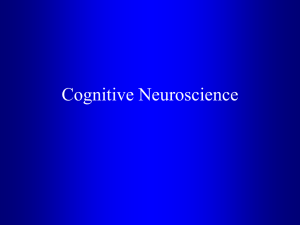 Methods in Cognitive Neuroscience I