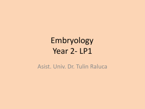 LP1 - Embriologie