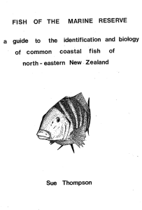 FISH OF THE MARINE RESERVE guide to the identification and