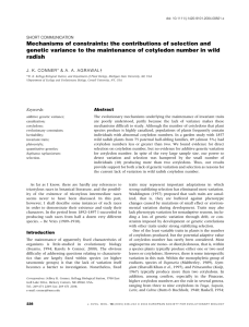 Mechanisms of constraints: the contributions of selection and