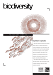 Keystone species (pdf 1.2mb)