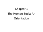 Human Anatomy and Physiology-1